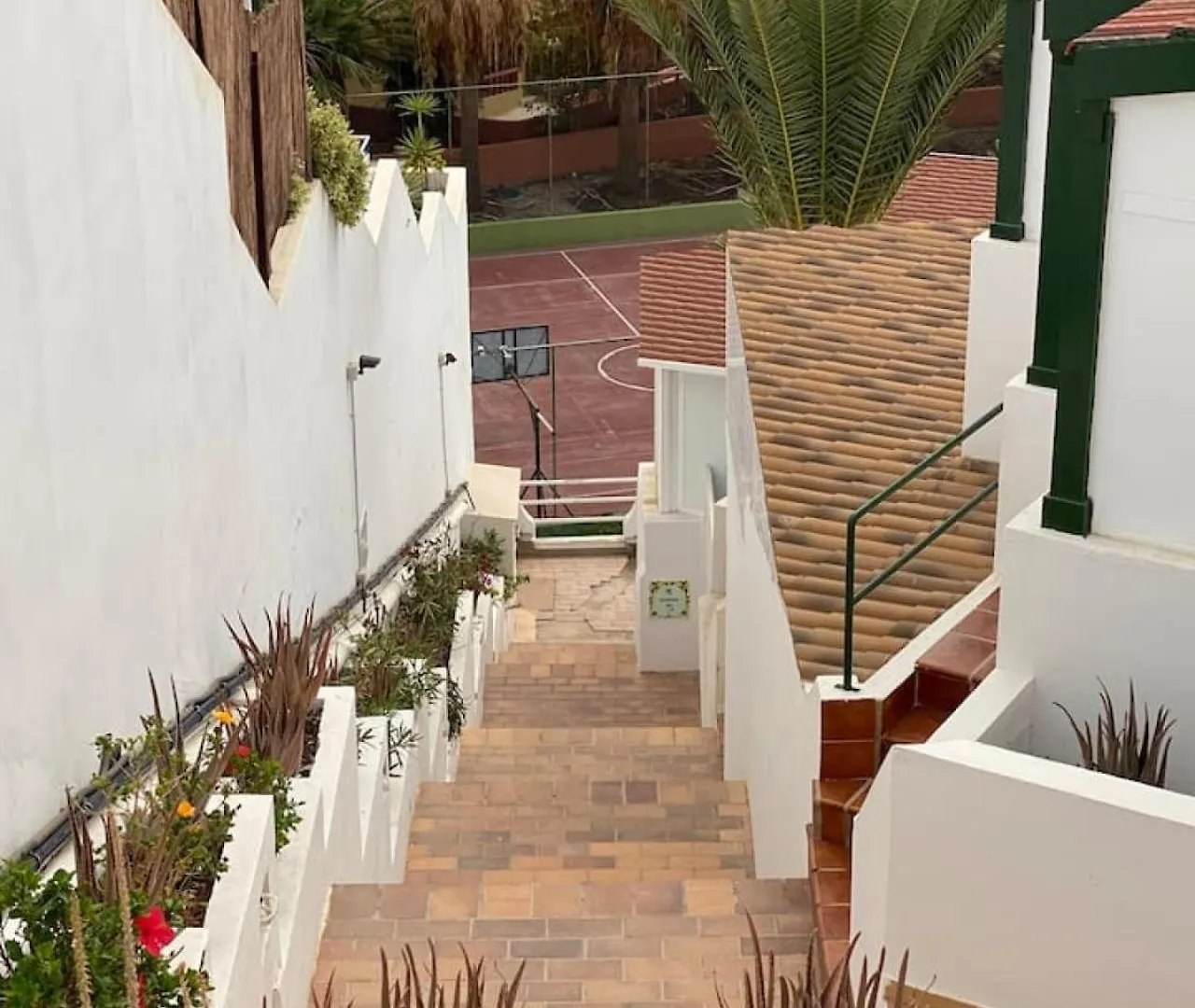 Tenerife.365 Atalaya Court II Sunset Ocean View Costa Adeje  Spanien